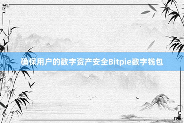 确保用户的数字资产安全Bitpie数字钱包