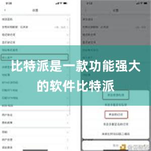 比特派是一款功能强大的软件比特派